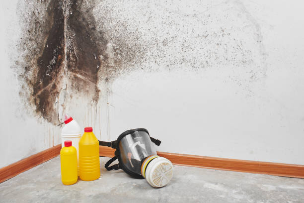 Akron, IN Mold Removal Company