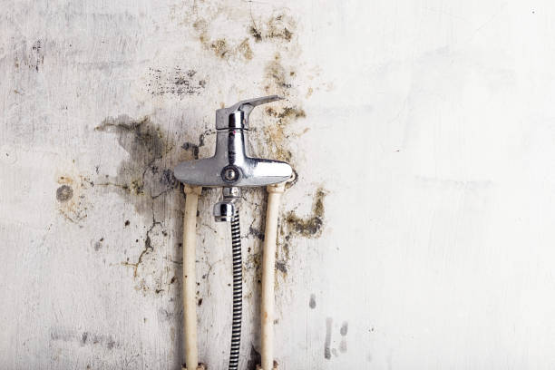 Best Water Damage Restoration  in Akron, IN