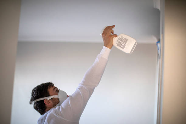 Best Emergency Mold Removal  in Akron, IN