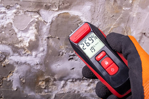 Mold Testing and Removal in Akron, IN