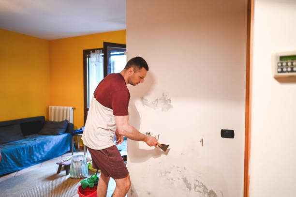 Best Toxic Mold Removal  in Akron, IN